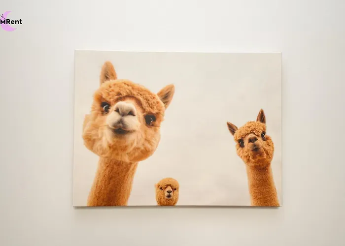 Accommodatie bij particulieren Mmrent Big Ben Gdańsk